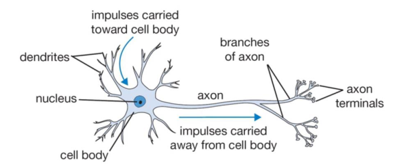 机器学习 Machine Learning - Neural Networks 神经网络的封面图片